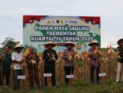 Dukung Program Nasional, Polres Landak Sukseskan Panen Raya Jagung Kuartal IV 2025
