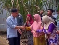Wapres Gibran Rakabuming Tinjau Sekolah dan Rumah Warga Terdampak Banjir di Kabupaten Balangan