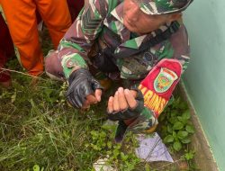 Respons Cepat, Babinsa Serka Rozikin Amankan Temuan Narkoba di Lingkungan Sekolah