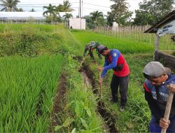 Guna Optimalkan Produksi Padi, Babinsa Dan Petani Resapombo Sinergi Bersihkan Lahan Pertanian