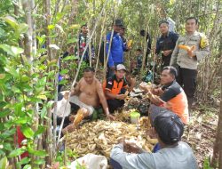 Bintara Penggerak Desa Sungai Keli Aipda Susanto Atung Hadiri Panen Perdana Jagung Program 1 Desa 1 Hektar