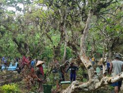 Babinsa Bersama Warga Bersihkan TPU Tanggulkundung
