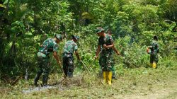 TMMD Ke-127 Buka Akses Terisolir di Marsi, 70 Persen Jalan Baru Tembus Perbukitan Kaimana