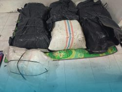 Sat Reskrim Polres Aceh Selatan Tangkap PNS Terlibat Perjudian Online di Tapaktuan