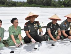 Danrem 031/WB Yakinkan Yonif 132/BS dan Kodim 0313/ Kampar Ikut Serta Mendukung Program ketahanan Pangan Nasional