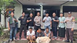 Tiga Pelaku Pencuri Ternak Warga di Bima Diciduk Polisi