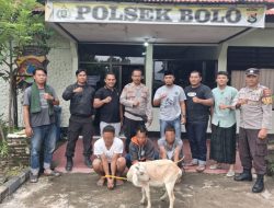 Tiga Pelaku Pencuri Ternak Warga di Bima Diciduk Polisi