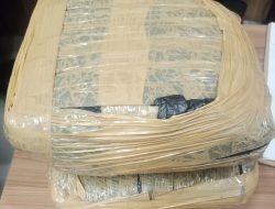 Kurir Ganja Antar Kota Dibekuk Satresnarkoba Polres Metro Bekasi Kota, 2 Kg Ganja Disita