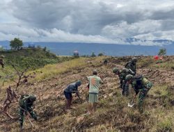 Semangat Gotong Royong Satgas Yonif 521/DY Bersama Warga Membuka Lahan Pertanian di Distrik Napua