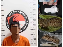 Satresnarkoba Polres Batu Bara Gulung Pengedar Ganja di Medang Deras, Sita Puluhan Gram Barang Bukti