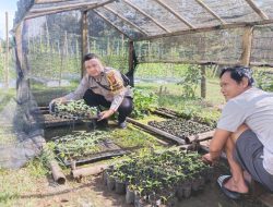 Bintara Penggerak Desa Dukung Program Pekarangan Pangan Bergizi di Pawis Hilir