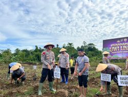 Kapolda Papua Barat Daya Pimpin Penanaman 500 Tunas Uwi Ungu untuk Ketahanan Pangan