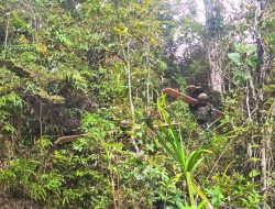 Wujud Kepedulian TNI, Satgas Yonif 521/DY Bantu Renovasi Rumah Warga di Distrik Eragayam