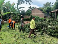 Angin Kencang Robohkan Pohon, Rumah Warga Kejayan Rusak, Respons Cepat Babinsa dan BPBD Cegah Dampak Lebih Besar