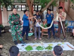 Perkuat Semangat Bela Negara, Kodam II/Sriwijaya Gelar Persami Korps Kadet RI di Tiga Wilayah