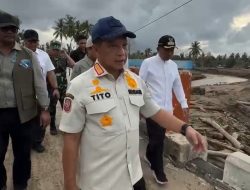 Satgas PRR Tinjau Pemanfaatan Kayu Pascabencana di Pidie Jaya