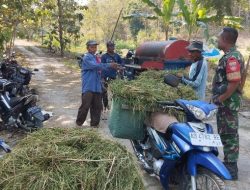 Babinsa Datangi Petani yang Sedang Panen Padi, Wujud Kepedulian di Tengah Sawah