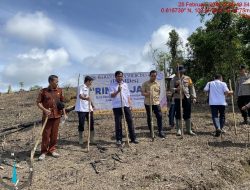 Kapolsek Menyuke Dampingi Camat Banyuke Hulu Tanam Tanam Jagung Ke Banyuke Hulu