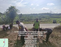 Sinergi Polsek Mandor dan Warga Desa Kerohok Wujudkan Ketahanan Pangan Lewat Penanaman Jagung