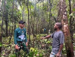 Satgas Pamtas Yonif 763/SBA Laksanakan Binter Pembersihan Kebun