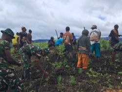 Bersama Warga, TNI Bangun Ketahanan Pangan: Pos Parim Yonif 751/VJS Berkebun dan Makan Bersama Penuh Kebersamaan