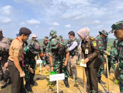 Reforestasi Tahap I TNTN Dimulai, Danrem Tegaskan Dukungan TNI untuk Pemulihan Ekosistem