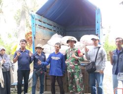 Babinsa Pulungdowo Kawal Sergab Bulog, Perkuat Ketahanan Pangan Nasional di Tumpang Malang