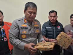 Polres Metro Bekasi Kota Sita 44 Kg Ganja, Satu Tersangka Ditangkap