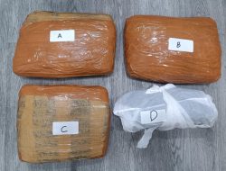 Polda Metro Jaya Menggagalkan Peredaran 3 Kg Ganja di Tanah Abang