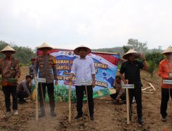 Polres Mesuji Melaksanakan Penanaman Jagung Serentak Kuartal I Tahun 2026 di Desa Jaya Sakti