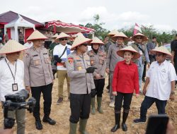 Wujudkan Lumbung Jagung Kalimantan, Kapolda Kalbar Pimpin Penanaman Serentak di Landak