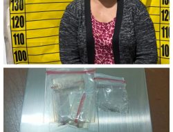 Seorang ibu di Mandor Ditangkap Polisi karena Diduga sebagai pengedar Sabu