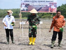 Tanam Padi Bersama Petani, Danrem 044/Gapo Perkuat Sinergi Ketahanan Pangan