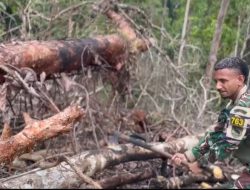 Satgas Yonif 763/SBA Bersihkan Kebun dan Berikan Bibit Kepada Warga