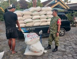 Babinsa Laksanakan Pendampingan Sergab diwilayah