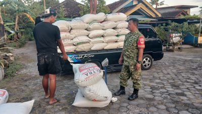 Babinsa Laksanakan Pendampingan Sergab diwilayah