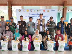 BULOG Percepat Penyaluran Bantuan Pangan ke Wilayah Kepulauan Pasca Idulfitri