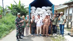 Babinsa Jambesari Dampingi Sergab, Perkuat Ketahanan Pangan dan Stabilitas Harga Gabah