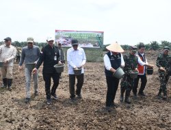 Sinergi TNI dan Pemerintah, Tanam Padi Bersama Gubernur Sumsel di Desa Sungai Dua
