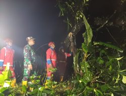 Danramil 01/Cangkringan Sleman Kerahkan Personil Evakuasi Pohon Tumbang