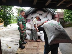 Sinergi Babinsa Jaga Kesetabilan Harga Gabah