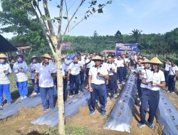 Pererat Sinergitas, Satgas Trisila 2026 dan Lanal Aru Gelar Olahraga Bersama, Penanaman Bibit Tomat, dan Penebaran Bibit Lele