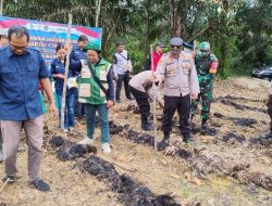 Polsek Ngabang Dan Polsubsektor Jelimpo Laksanakan Penanaman Bibit Jagung Serentak Kuartal I TH 2026