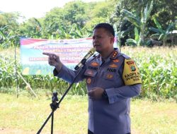 Kapolres Bekasi Kota Pimpin Panen Raya Jagung di Jatiasih