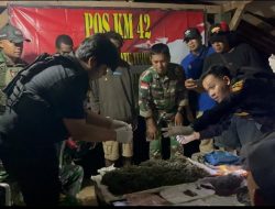 Satgas Yonif 403/WP Gagalkan Penyelundupan 2 Kg Ganja di Perbatasan RI–PNG