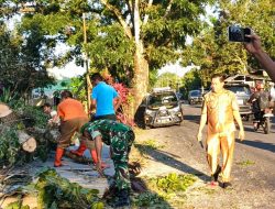 Atas Kesigapan Babinsa Jajarannya Atasi Bencana Pohon Tumbang, Dandim 1310/Bitung Beri Apresiasi