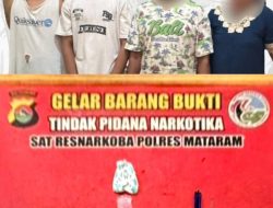 Polisi Ungkap Kasus Narkoba di Mandalika, Seorang Perempuan dan Tiga Pria Diamankan