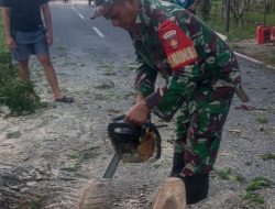 Bersama relawan, Babinsa Godean Atasi Pohon Tumbang