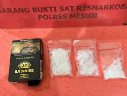 Kedapatan Memiliki Narkotika Jenis Sabu Dua Pria Diamankan Jajaran Sat Res Narkoba Polres Mesuji