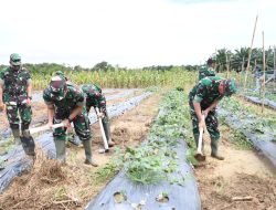 Hijaukan Negeri, Korem 044/Gapo Gelar Gerakan Penanaman Pohon